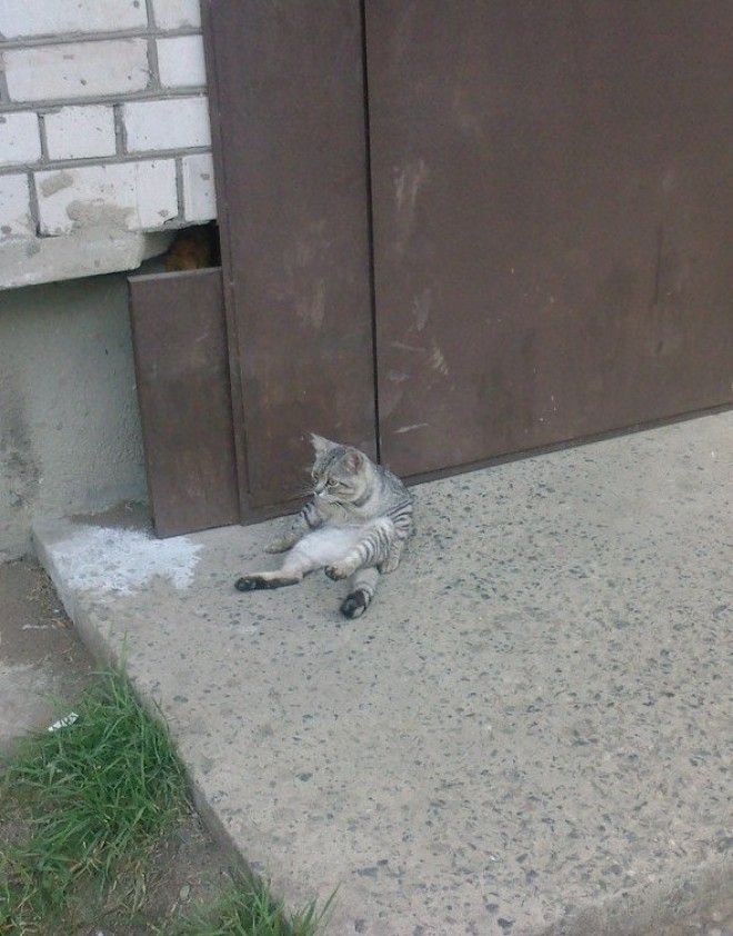 Современные бояре в чьих жилах течет голубая кровь