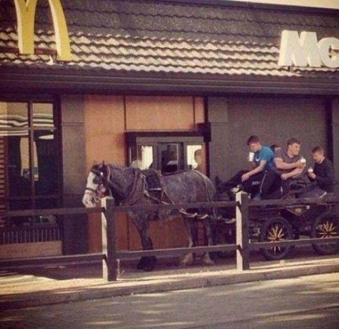 Современные бояре в чьих жилах течет голубая кровь
