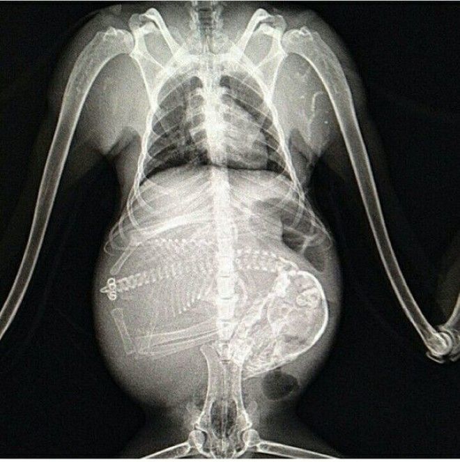 %image_alt%