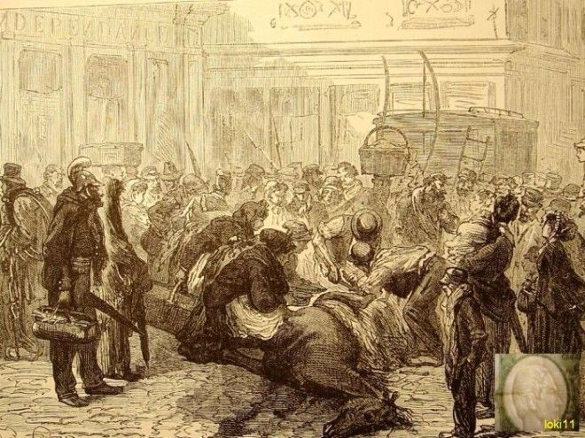 Парижане разделывают павшую лошадь прямо на дороге, 1870 год. | Фото: commons.wikimedia.org. Парижане разделывают павшую лошадь прямо на дороге 1870 год Фото commonswikimediaorg