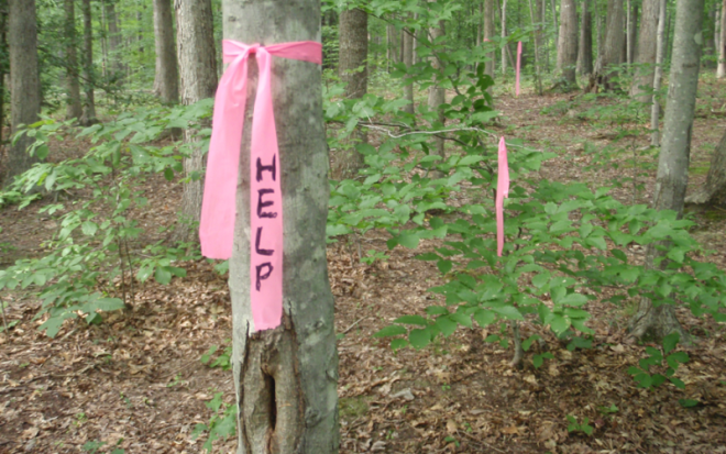 Лента и маркер Несколько яркоголубых или яркорозовых лент дополнят ваш арсенал средств сигнализации С помощью лент вы можете помечать свой маршрут чтобы вас было легче найти и даже оставлять детальную информации о вашем местоположении используя маркер Которым вы кстати говоря тоже можете делать отметки на сухих и ровных поверхностях и оставлять подсказки для поисковых групп