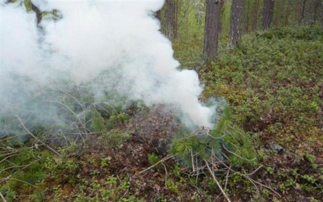Дым А в дневное время ваше месторасположение можно точно указать при помощи дыма Дым от сигнального костра должен быть хорошо заметен и создавать контраст с цветом&nbsp;окружающей местности Белый дым даст сырая древесина или свежие листья В облачный или туманный день хорошо различимый черный дым который можно создать если поджечь резину и пропитанную маслом на нефтяной основе ткань