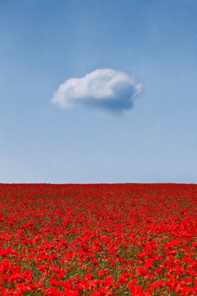 Минимализм во всей красе 15 фотографий в которых нет ничего лишнего 