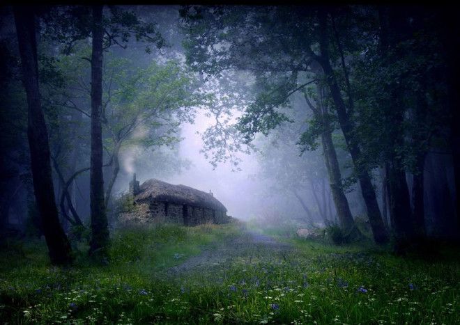 tinyhousefairytalenaturelandscapephotography19880