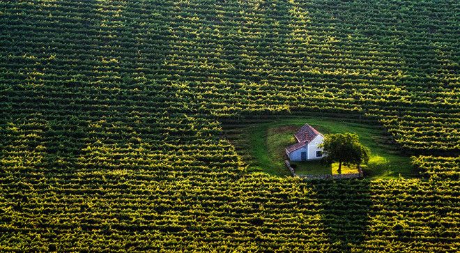 Tiny House In The Fields Hungary