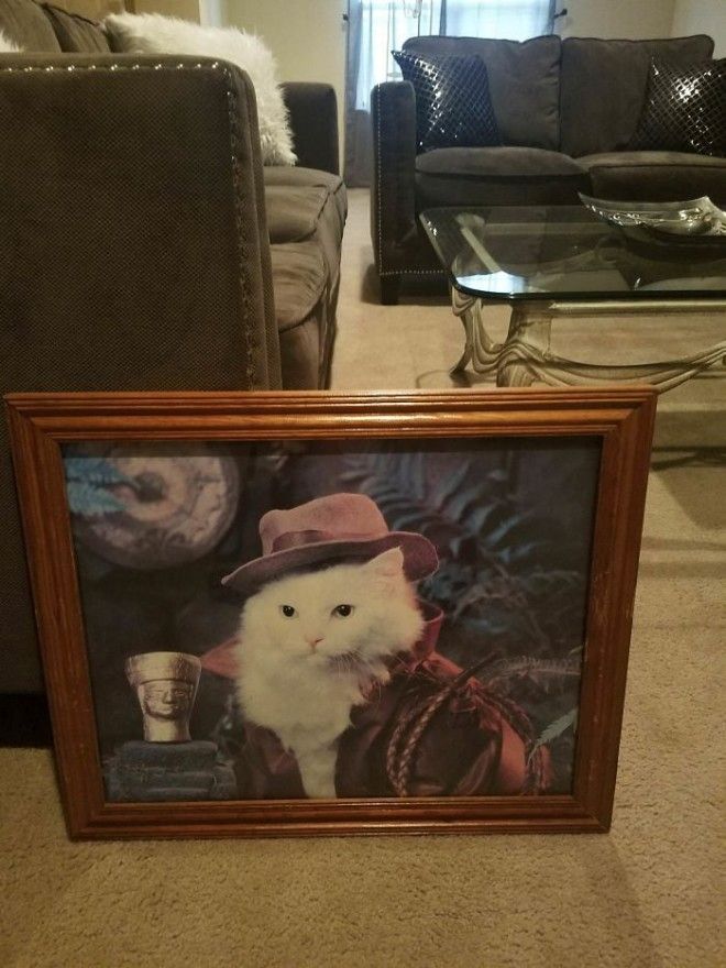 L20 мужчин которые подшутили над своими любимыми но смешно было только им