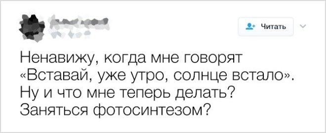 S20 жизненных твитов от самоироничных пользователей социальных сетей