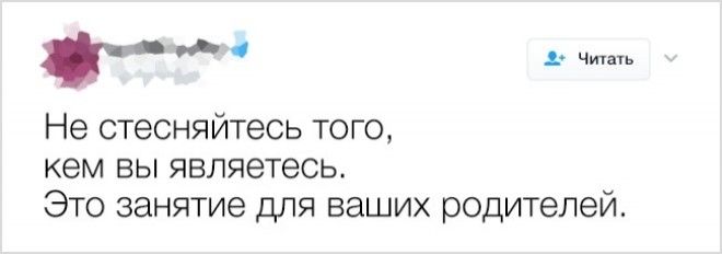 S20 жизненных твитов от самоироничных пользователей социальных сетей
