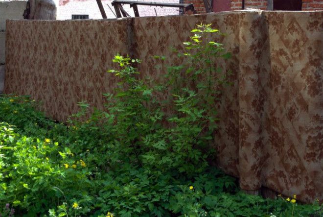 Узоры и натуральная шерсть. Узоры и натуральная шерсть