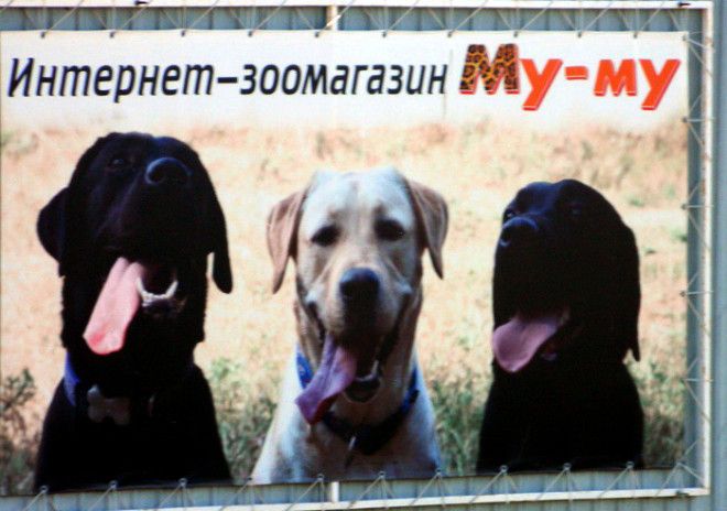 Просто скажите, почему «Му-му»!? Просто скажите почему Муму