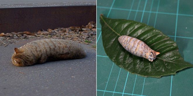 Художник превращает популярные фотографии животных в весёлые скульптуры
