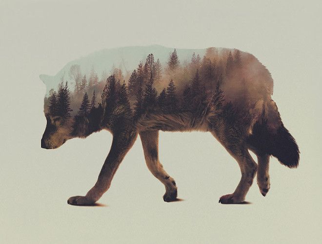 20 поражающих воображение фотографий которые не оставят вас равнодушными