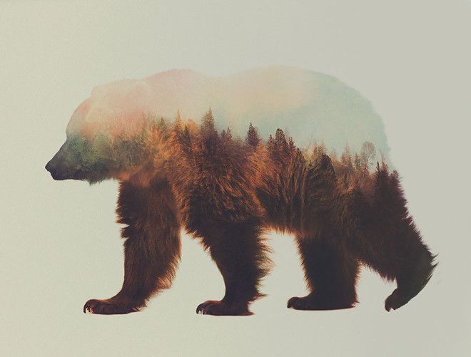 20 поражающих воображение фотографий которые не оставят вас равнодушными