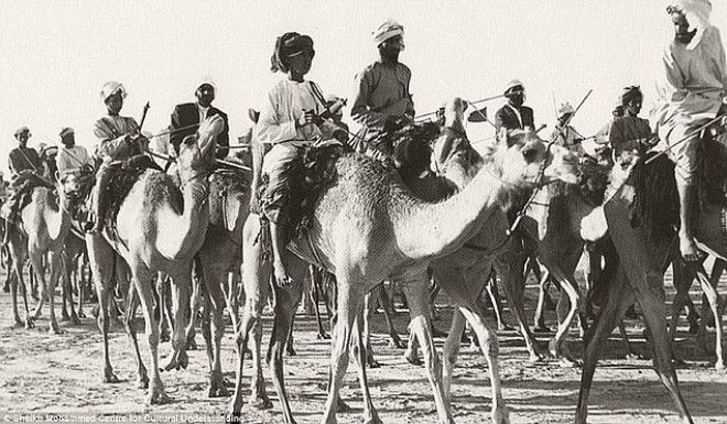 Караван верблюдов следует через Дубай, 1960-е