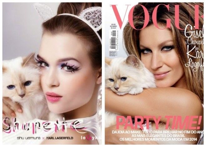 Кошка Шупетт снимается для глянцевых журналов со знаменитыми моделями и имеет свою страничку в Instagram