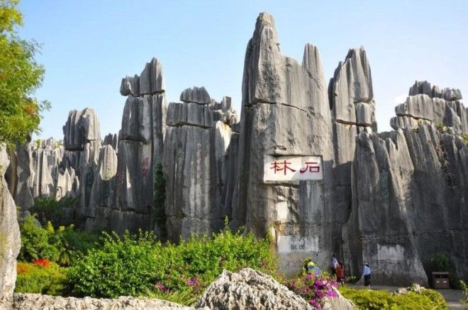 Каменный лес Шилинь (Shilin), Китай