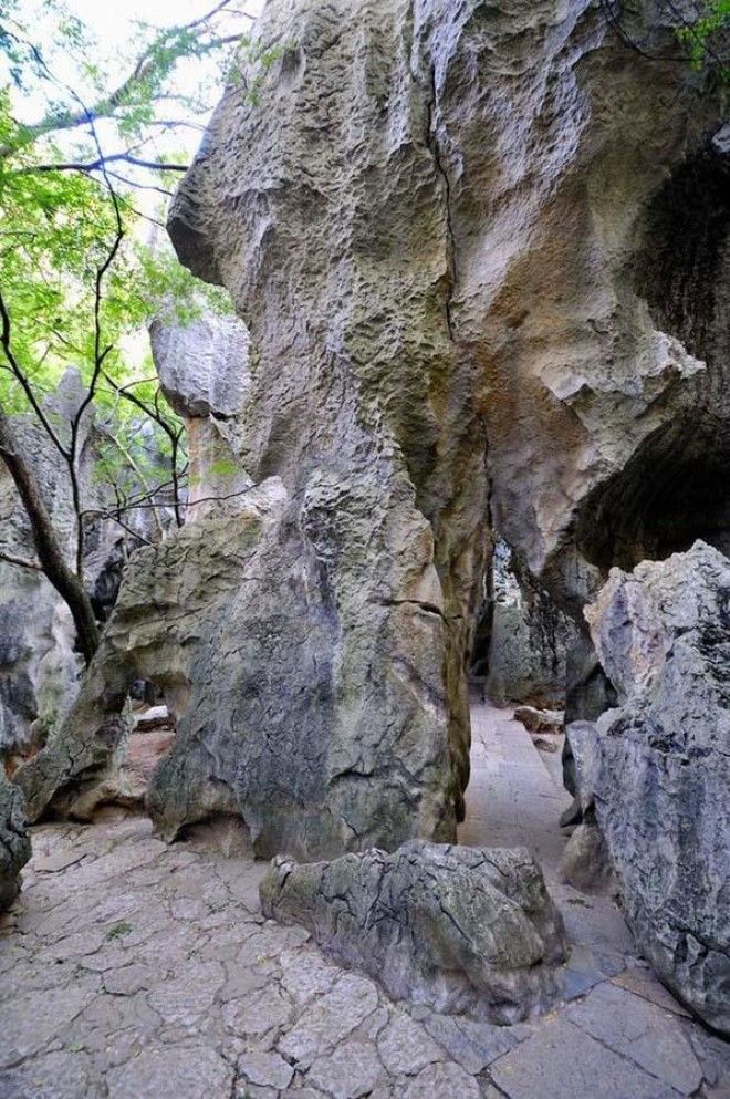 Каменный лес Шилинь (Shilin), Китай