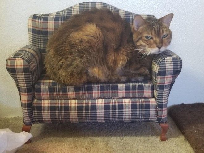 20 доказательствчто барахолки это кладезь удивительных и уникальных вещей