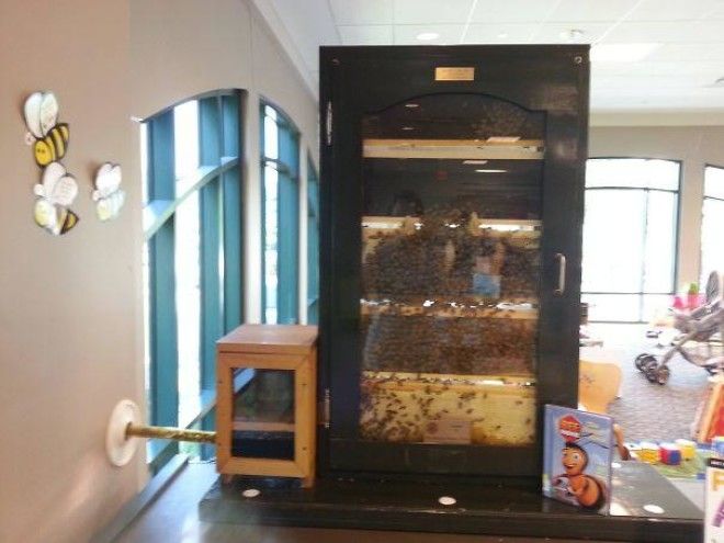 20 библиотек которые настолько удивительны что вы пожалеете что туда не ходите