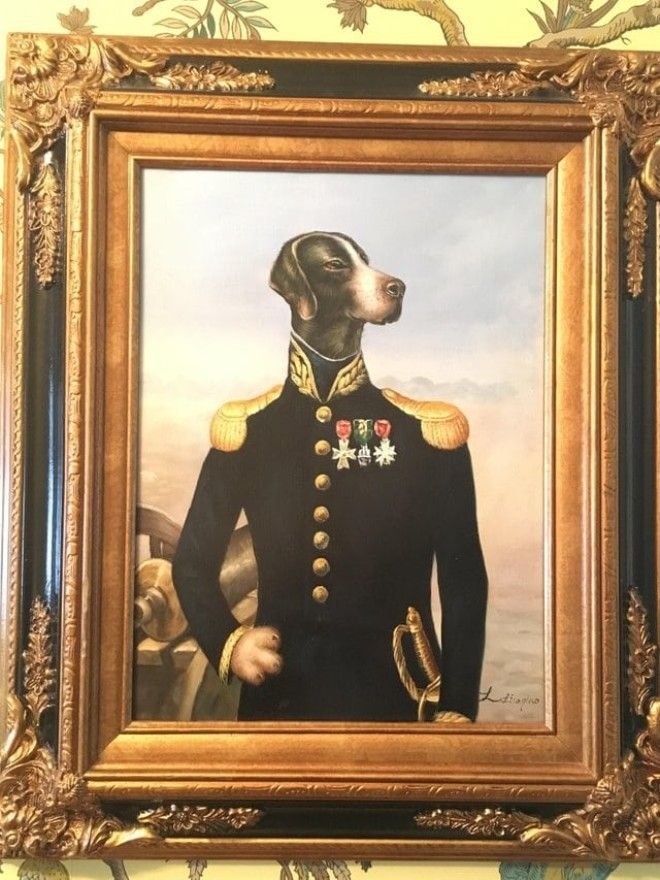 20 доказательствчто барахолки это кладезь удивительных и уникальных вещей