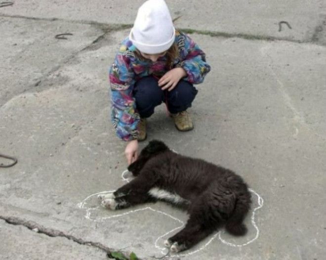 Чистый разум и незаурядные способности. | Фото: Юмор рунета. Чистый разум и незаурядные способности Фото Юмор рунета