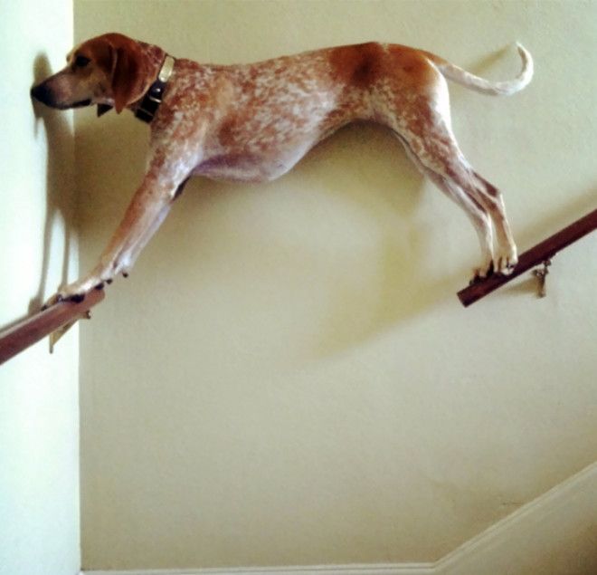 Попал в неловкое положение Фото Humorfm