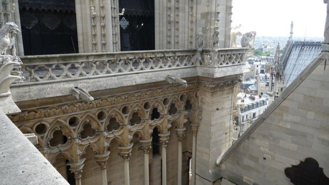 SДля чего на самом деле устанавливали скульптуры гаргулий и химер