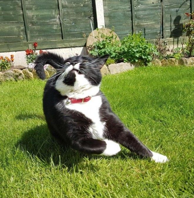 L24 странных фото на которых явно чтото пошло не так