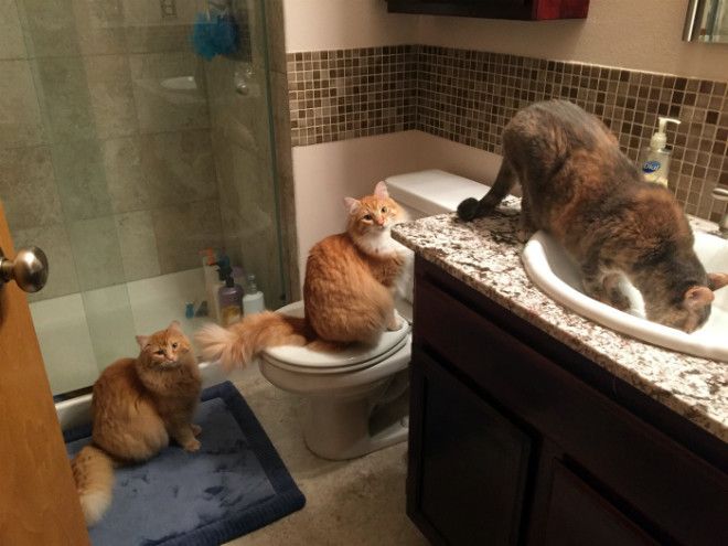 Очередь к рукомойнику Фото Imgur