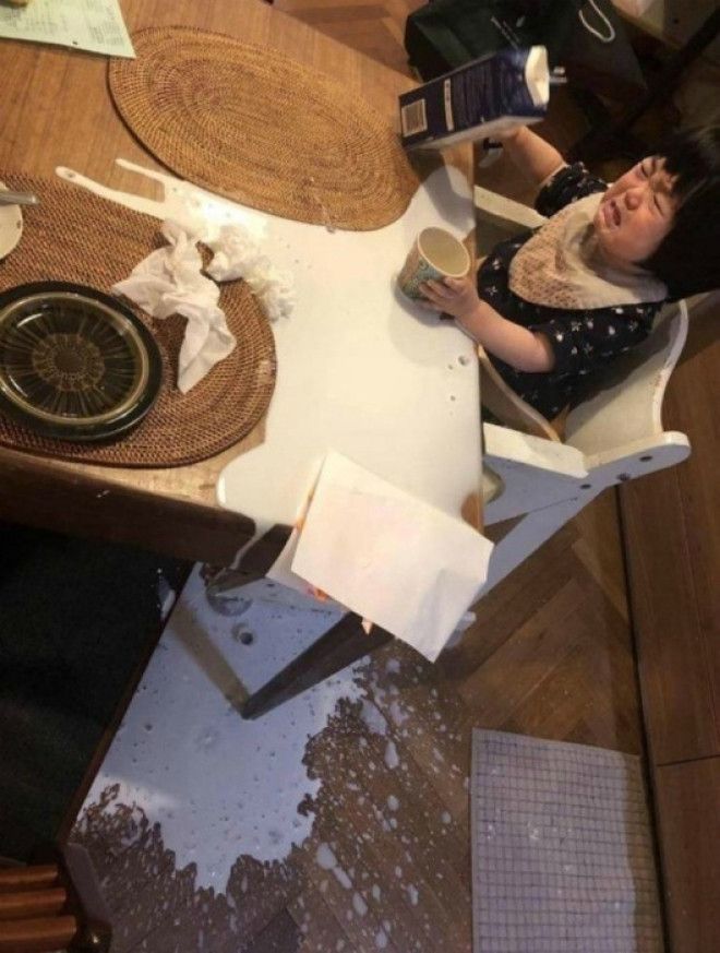 Тот самый случай, когда по усам текло, а в рот не попало! | Фото: World Report. Тот самый случай когда по усам текло а в рот не попало Фото World Report