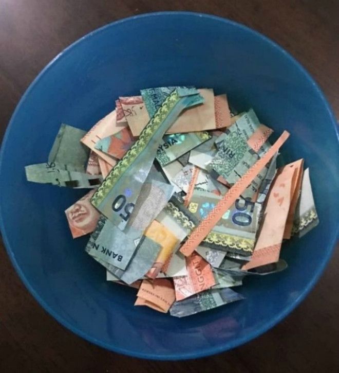 Блюдо которое заставило отца заплакать Фото ШнягиНет