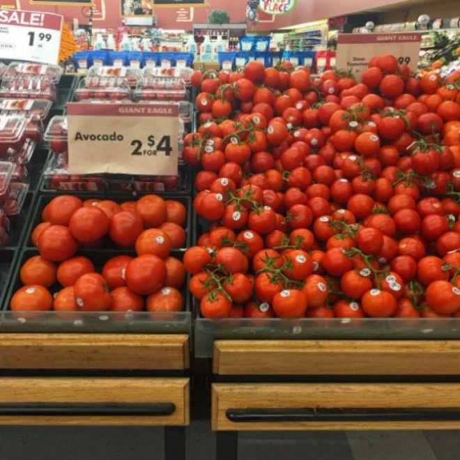 L24 странных фото на которых явно чтото пошло не так