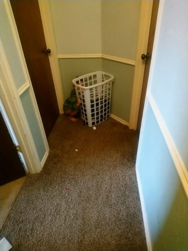 Кто не спрятался, я не виноват. | Фото: Funny. Кто не спрятался я не виноват Фото Funny