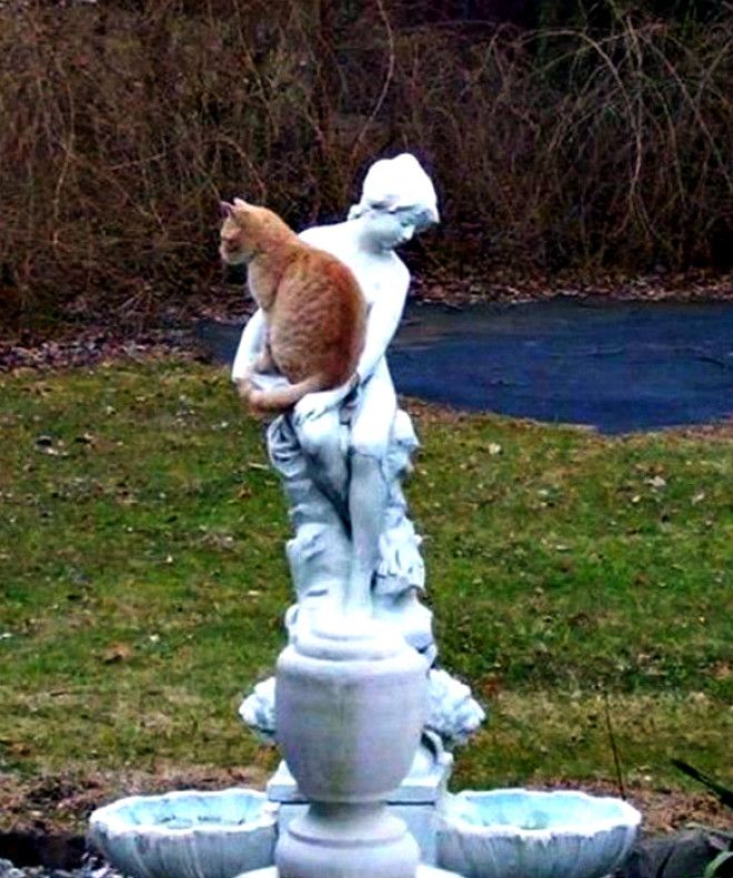 Когда хочется на ручки Фото Reddit