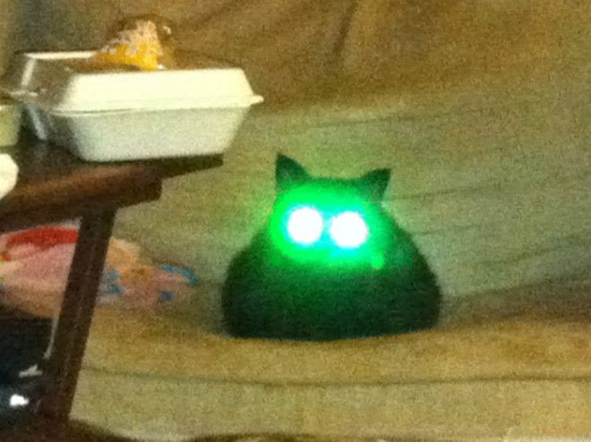 Гипнотический взгляд.