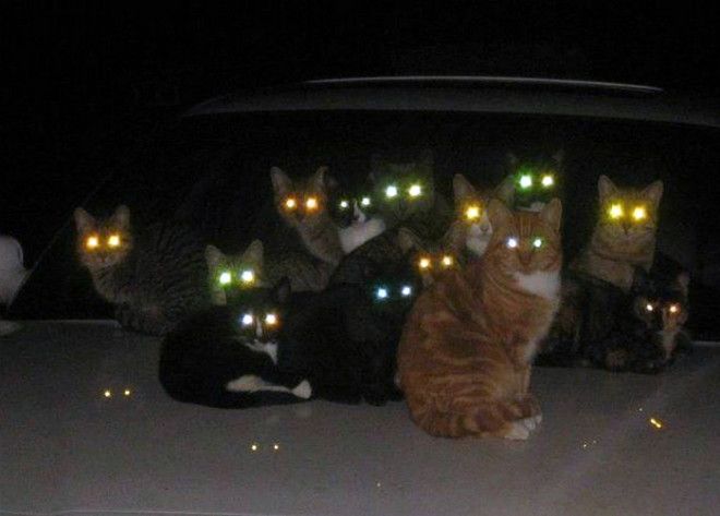 Подозрительная группировочка.