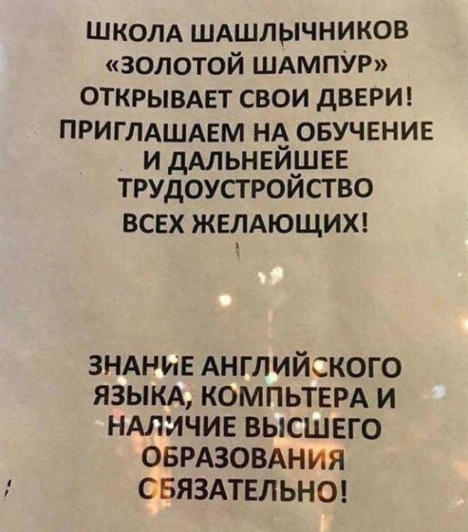 Novate.ru в шоке от того, какие образованные люди эти шашлычники. | Фото: pisez.com. Novate.ru в шоке от того, какие образованные люди эти шашлычники. | Фото: pisez.com.