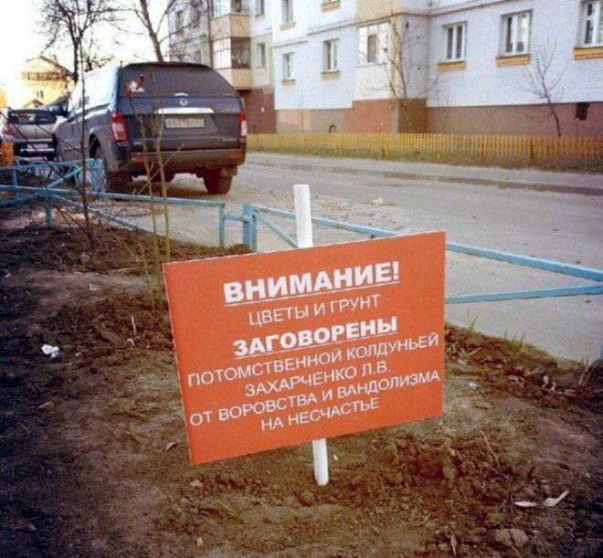 Родовое проклятье вам обеспечено. | Фото: Пикабу.