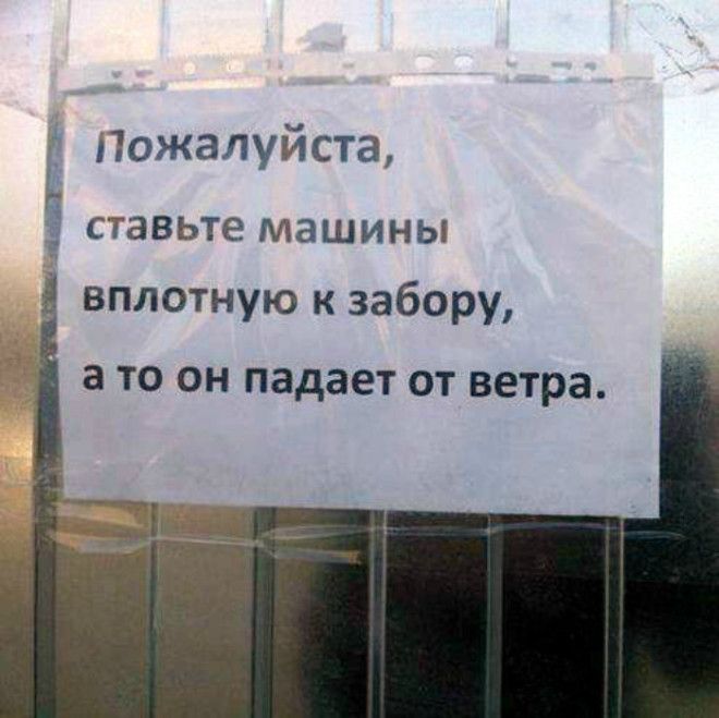 Вся надежда на вас! | Фото: Ribalych.ru.