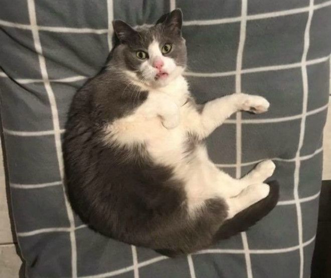 Кто ты я тебя не знаю Фото Не всё так грустно