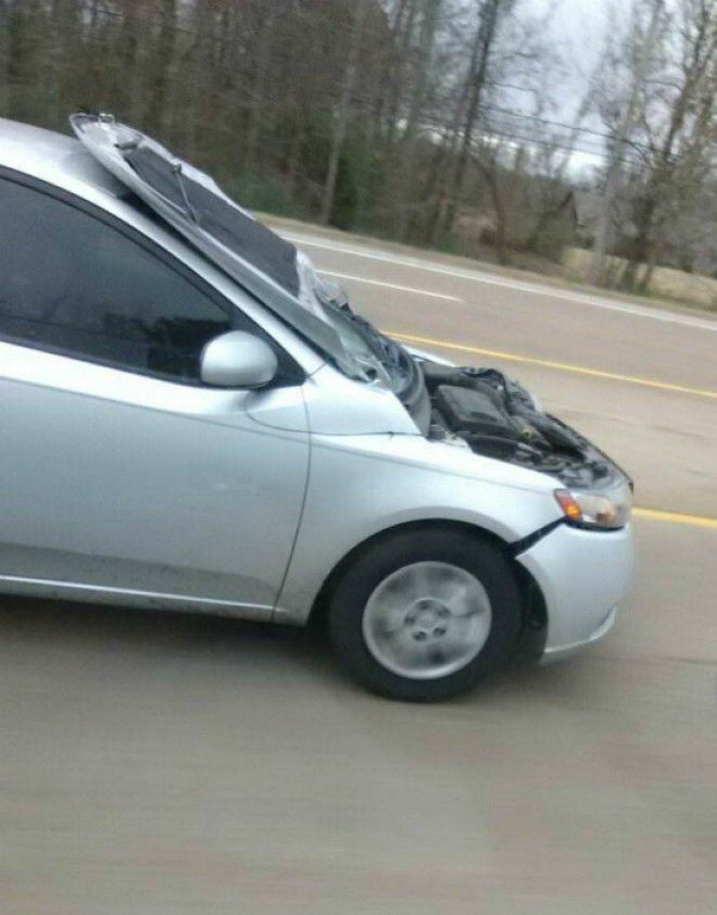 Зато солнце в глаза не светит Фото Пикабу