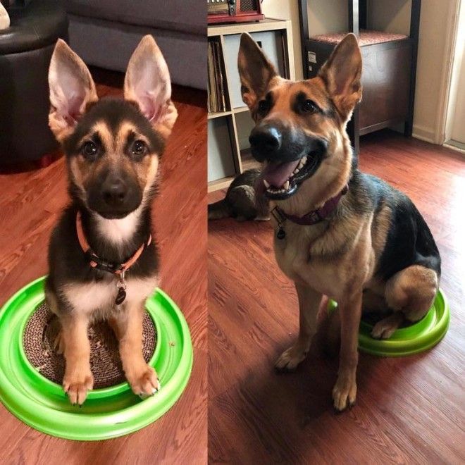 Lюди выставляют фото до и после и тут всё от похудения до исправления зубов