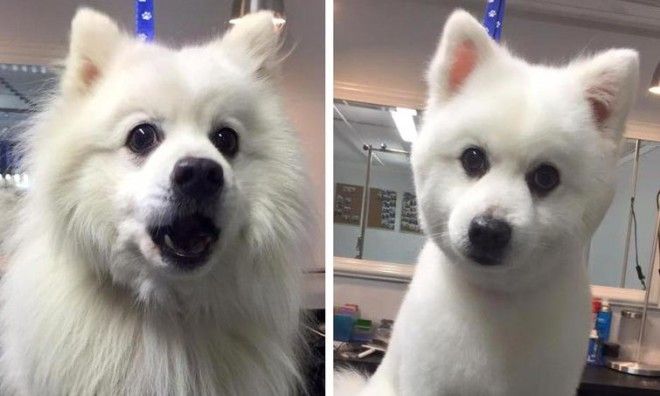 Lюди выставляют фото до и после и тут всё от похудения до исправления зубов