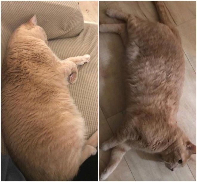 Lюди выставляют фото до и после и тут всё от похудения до исправления зубов