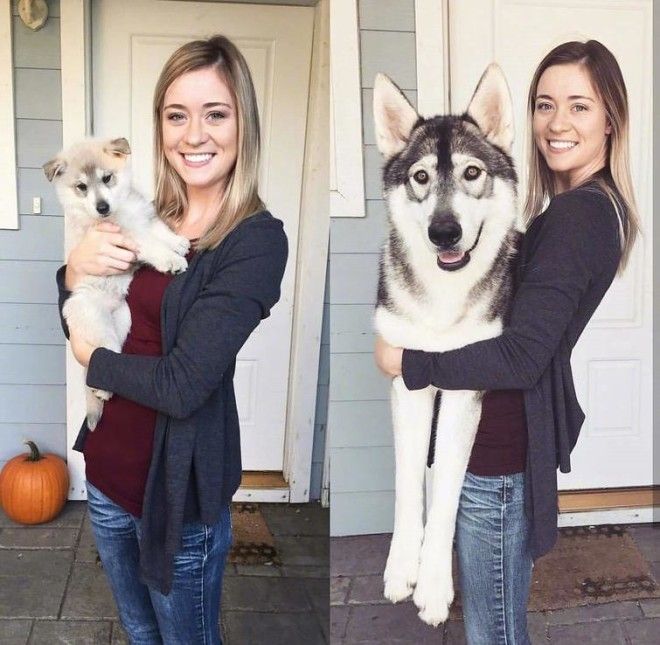 Lюди выставляют фото до и после и тут всё от похудения до исправления зубов