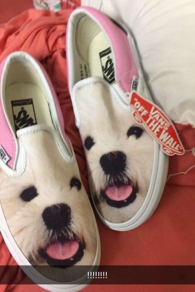 S17 хозяев которые окружают своего питомца круглосуточной заботой