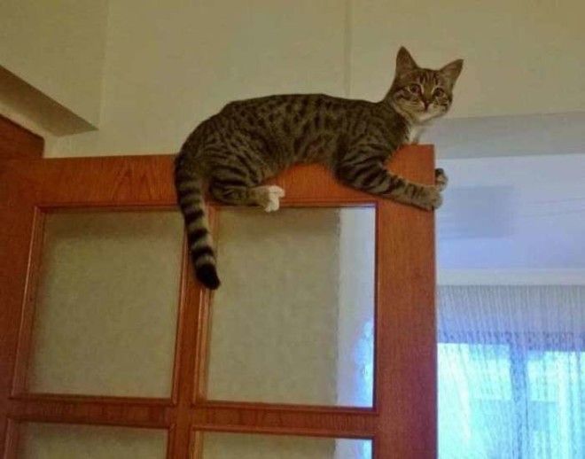 Занял пост повыше Фото binoklcc