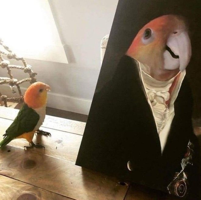 S17 хозяев которые окружают своего питомца круглосуточной заботой