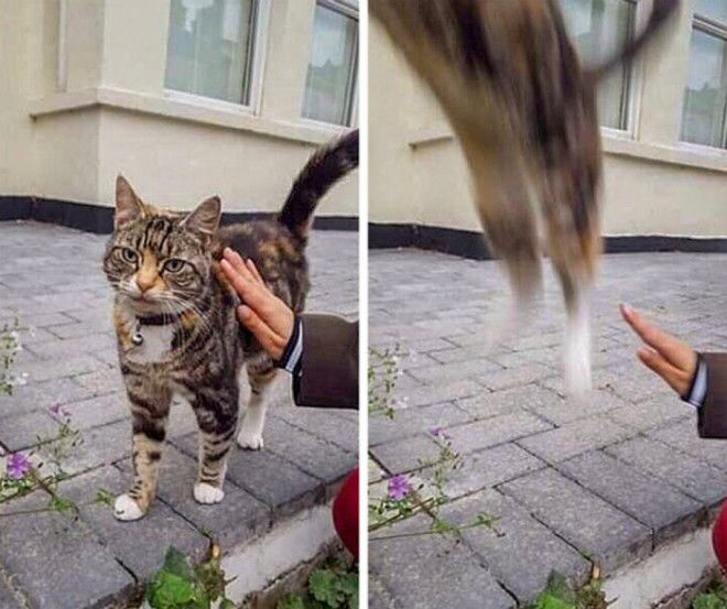 Функция телепортации активирована Фото Фишкинет