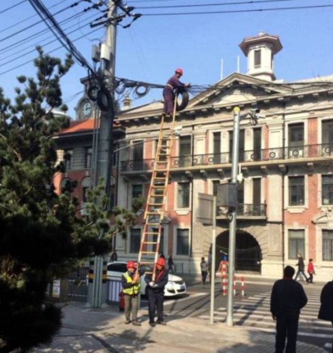 Бравые напарники Фото Приколисты